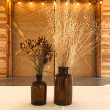 Load image into Gallery viewer, Amber Vase - 17 oz.