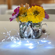 Load image into Gallery viewer, Fairy Lights (Cool White, 16 ft.)