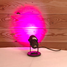 Load image into Gallery viewer, Spotlight Color-Changing