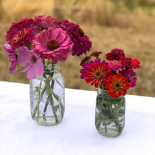 Load image into Gallery viewer, Mason Jar