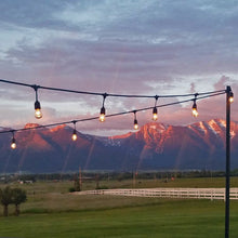 Load image into Gallery viewer, Bistro Lights