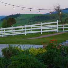 Load image into Gallery viewer, Bistro Lights