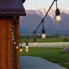 Load image into Gallery viewer, Bistro Lights