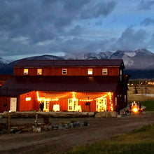 Load image into Gallery viewer, Bistro Lights