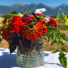 Load image into Gallery viewer, Hanging Glass Vase with Handle