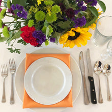 Load image into Gallery viewer, Cloth Napkins (Choose Your Color)