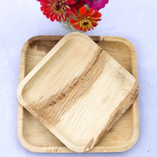 Load image into Gallery viewer, Biodegradable Plates