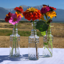Load image into Gallery viewer, Vintage glass bud vase. A taller bud vase that beautifully showcases single stems of larger blooms, such as cosmos, zinnia, or garden roses. Layer them with our Farmgirl Bud Vase and Vintage Votives for a timeless and elegant centerpiece.