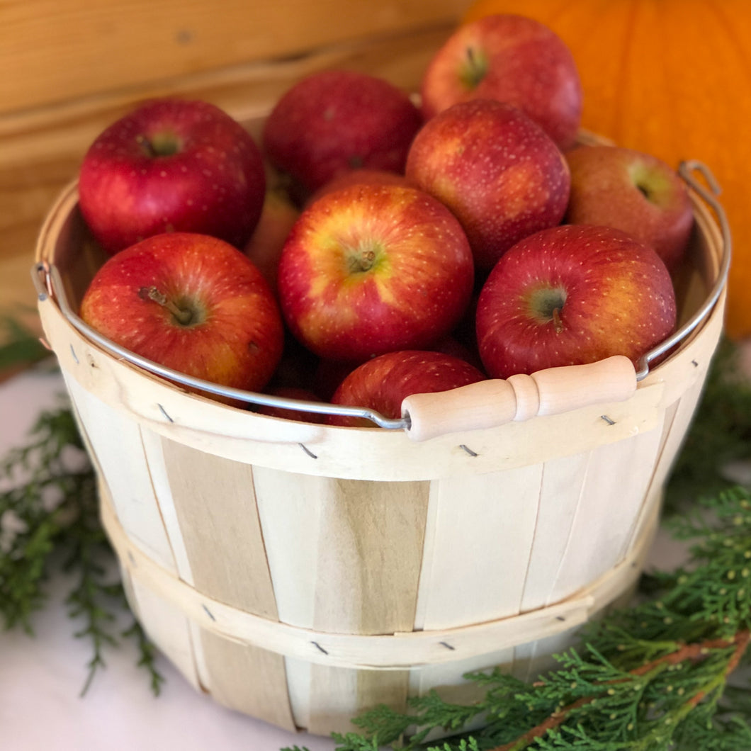 Farm Basket