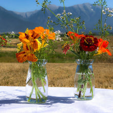 Load image into Gallery viewer, Farmgirl bud vases are both sturdy and delicate.  They are a great way to showcase locally grown and seasonal flowers.  Layer them with our taller vintage bud vases for a complete centerpiece.  
