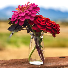 Load image into Gallery viewer, Farmgirl Bud Vase
