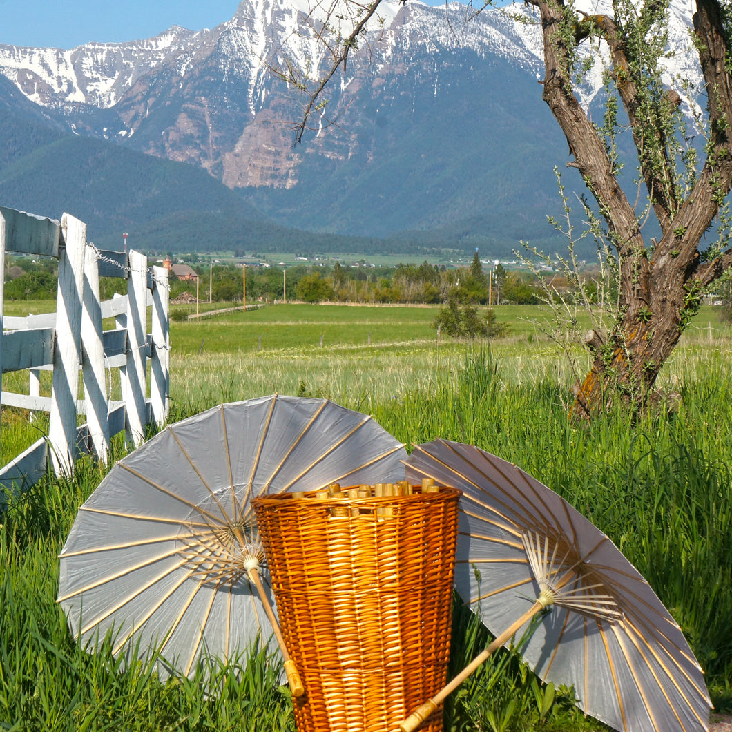 Shade Parasol